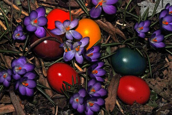 Allen,,Frohe Ostern,, !