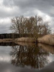 Aller bei Langlingen 1