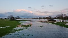 Aller-Hochwasser