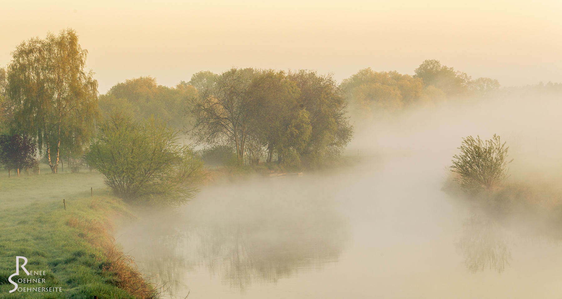 Aller im Morgennebel