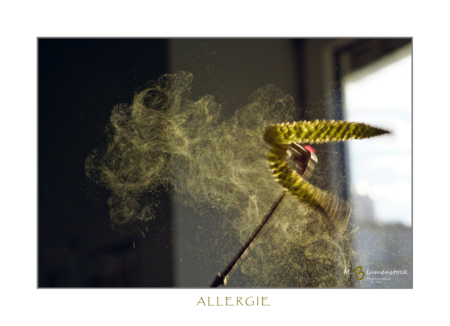 Allergie