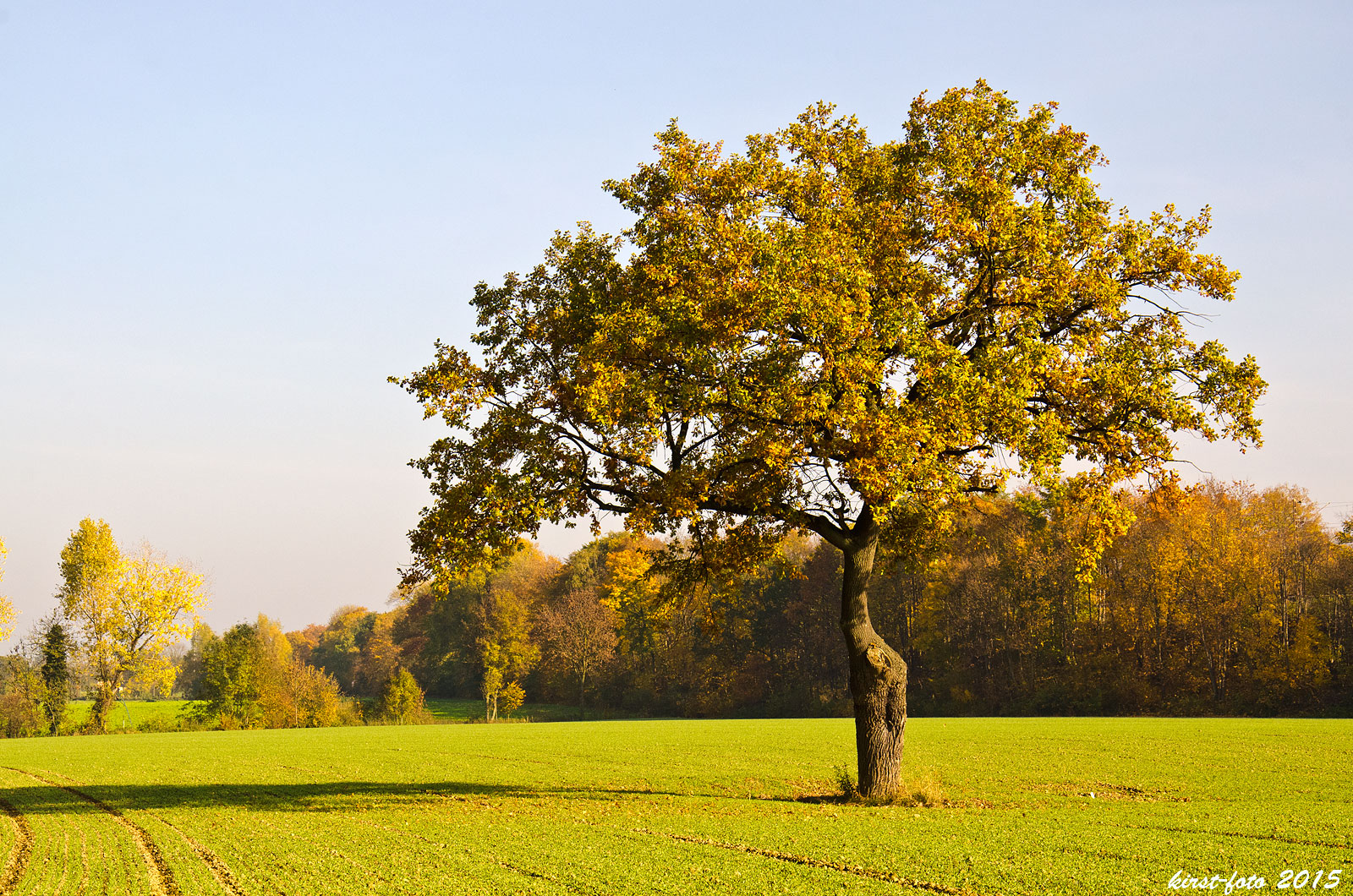 Allerheiligen 2015