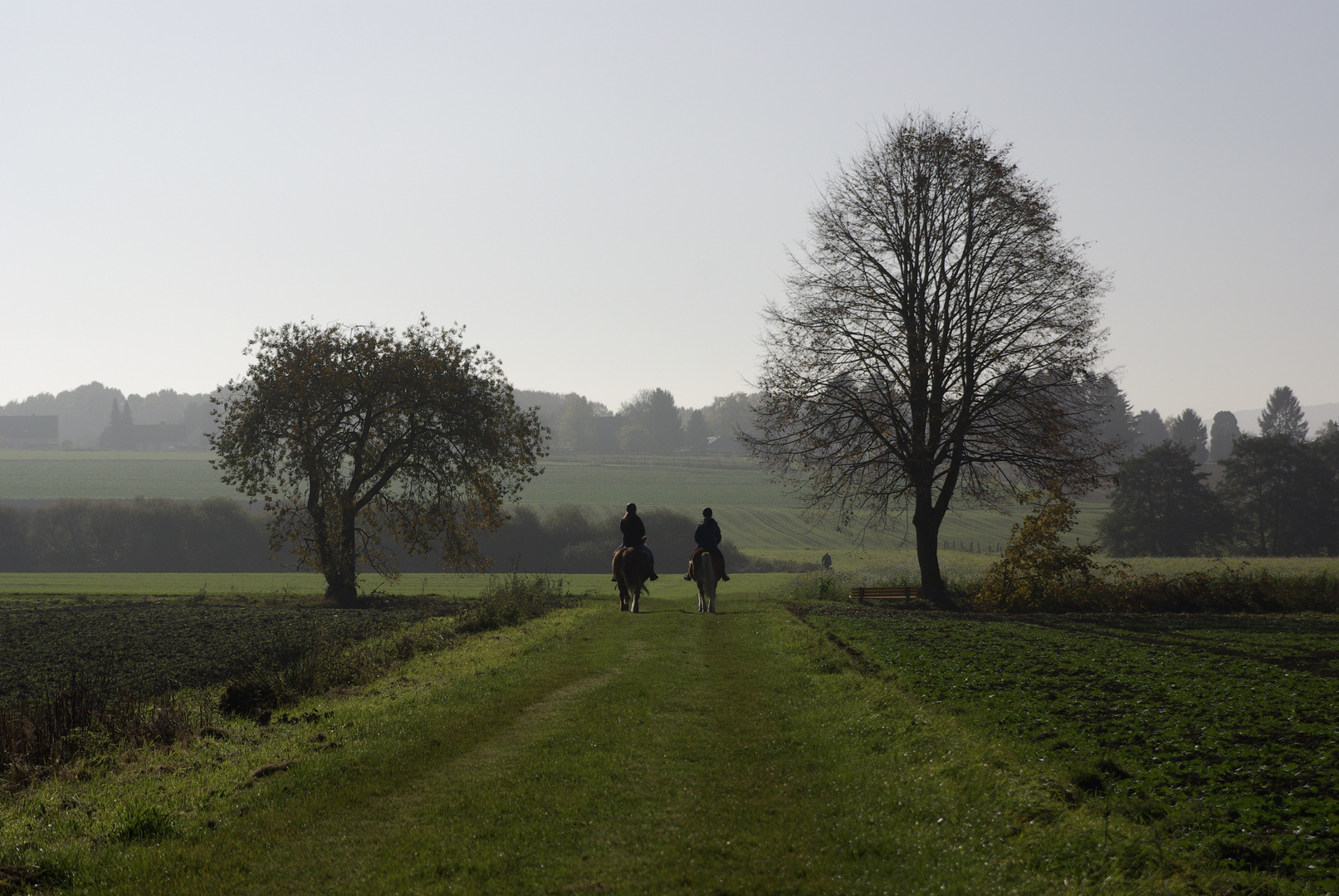 Allerheiligen 2015