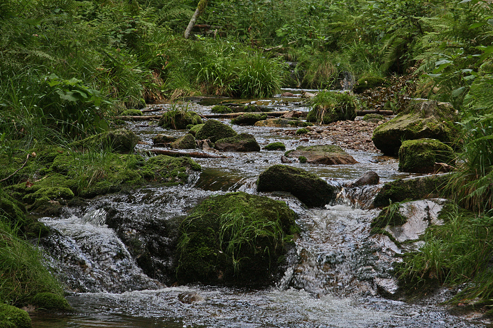 Allerheiligen