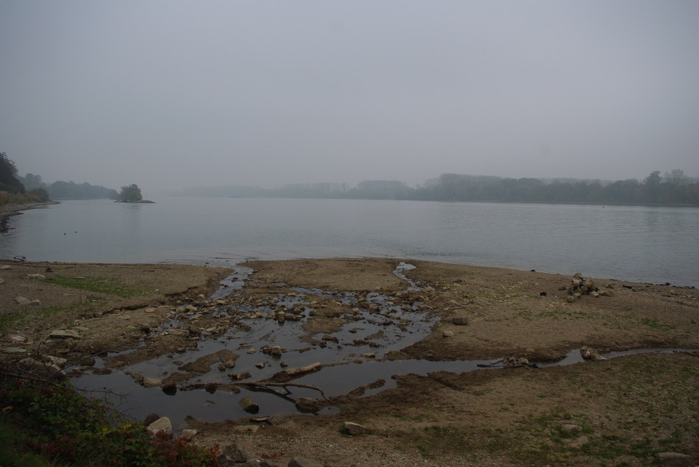 Allerheiligen am Rhein