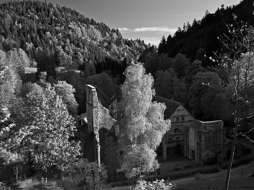 Allerheiligen at late afternoon