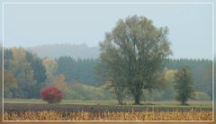 Allerheiligen bei uns