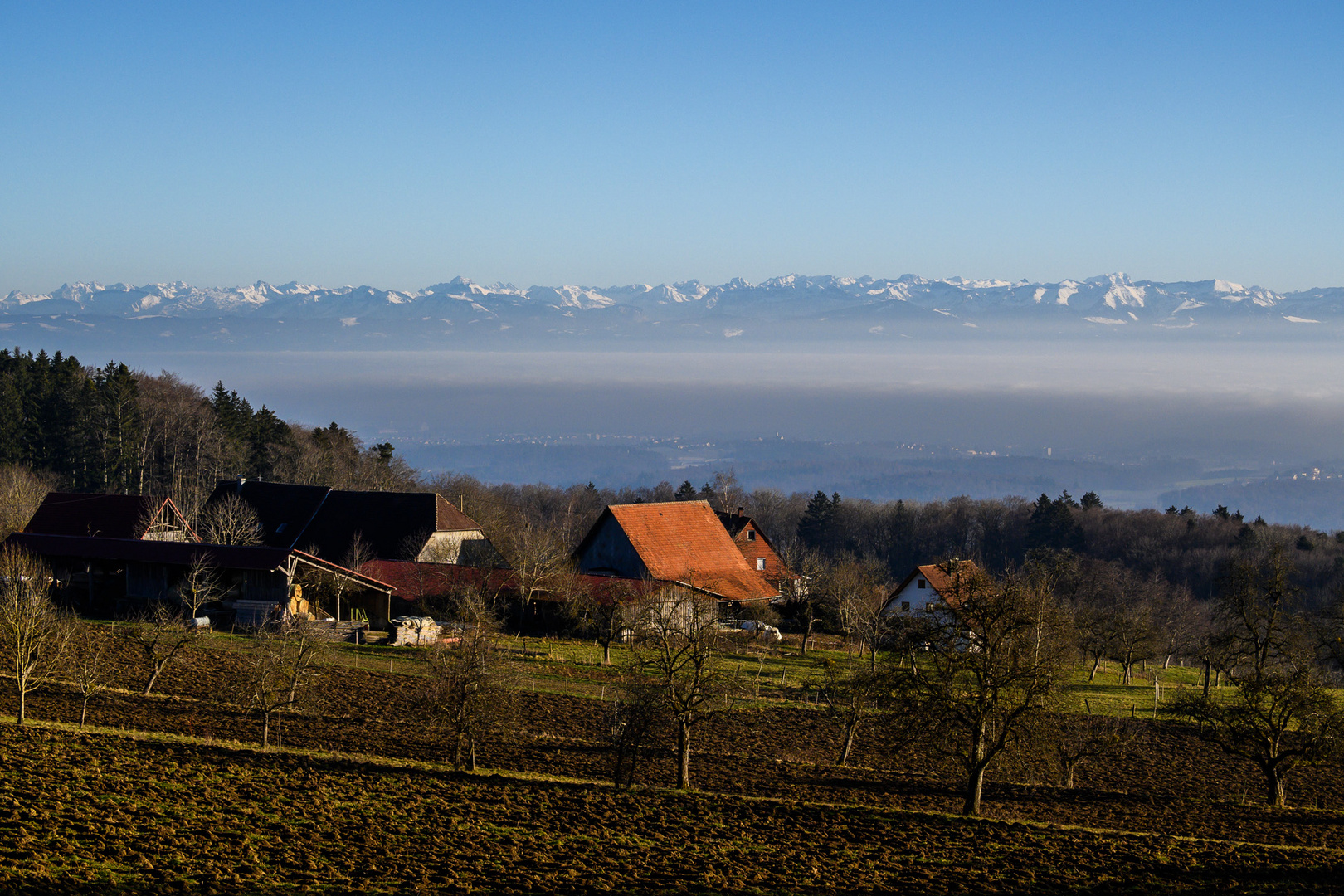 Allerheiligen im Frühling - Toussaint au printemps