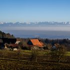 Allerheiligen im Frühling - Toussaint au printemps