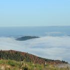 Allerheiligen im Sauerland II