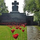 Allerheiligen - Soldatenfriedhof - Lommel /Belgien