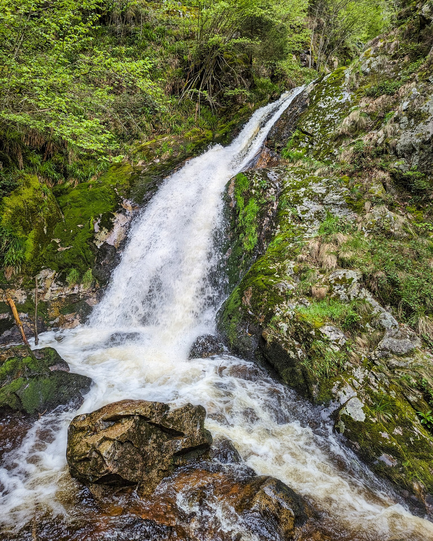 Allerheiligen-Wasserfall | Nord-Schwarzwald