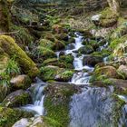 Allerheiligen Wasserfall Schwarzwald