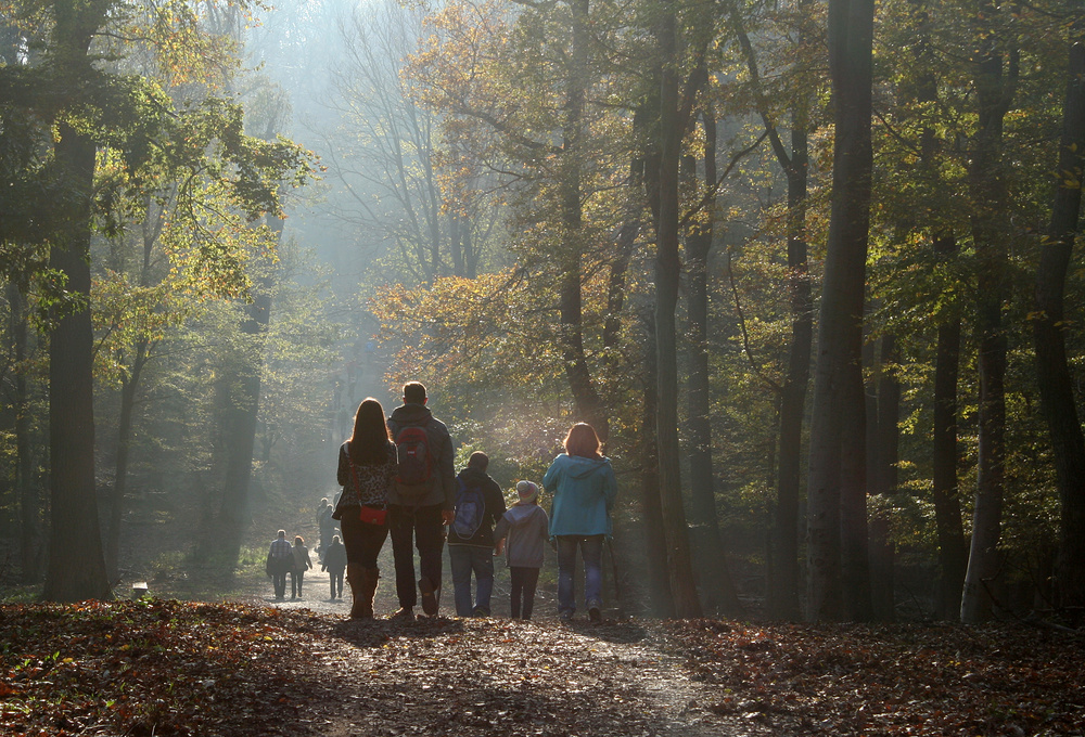 Allerheiligenspaziergang im Lainzer Tiergarten (1)