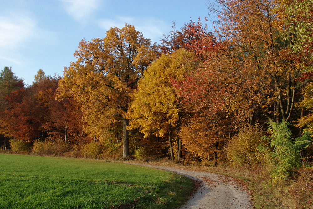 Allerheiligenwetter