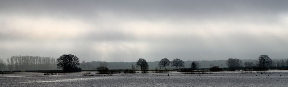 Allerhochwasser 2012