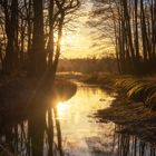 Allerkanal im Sonnenuntergang