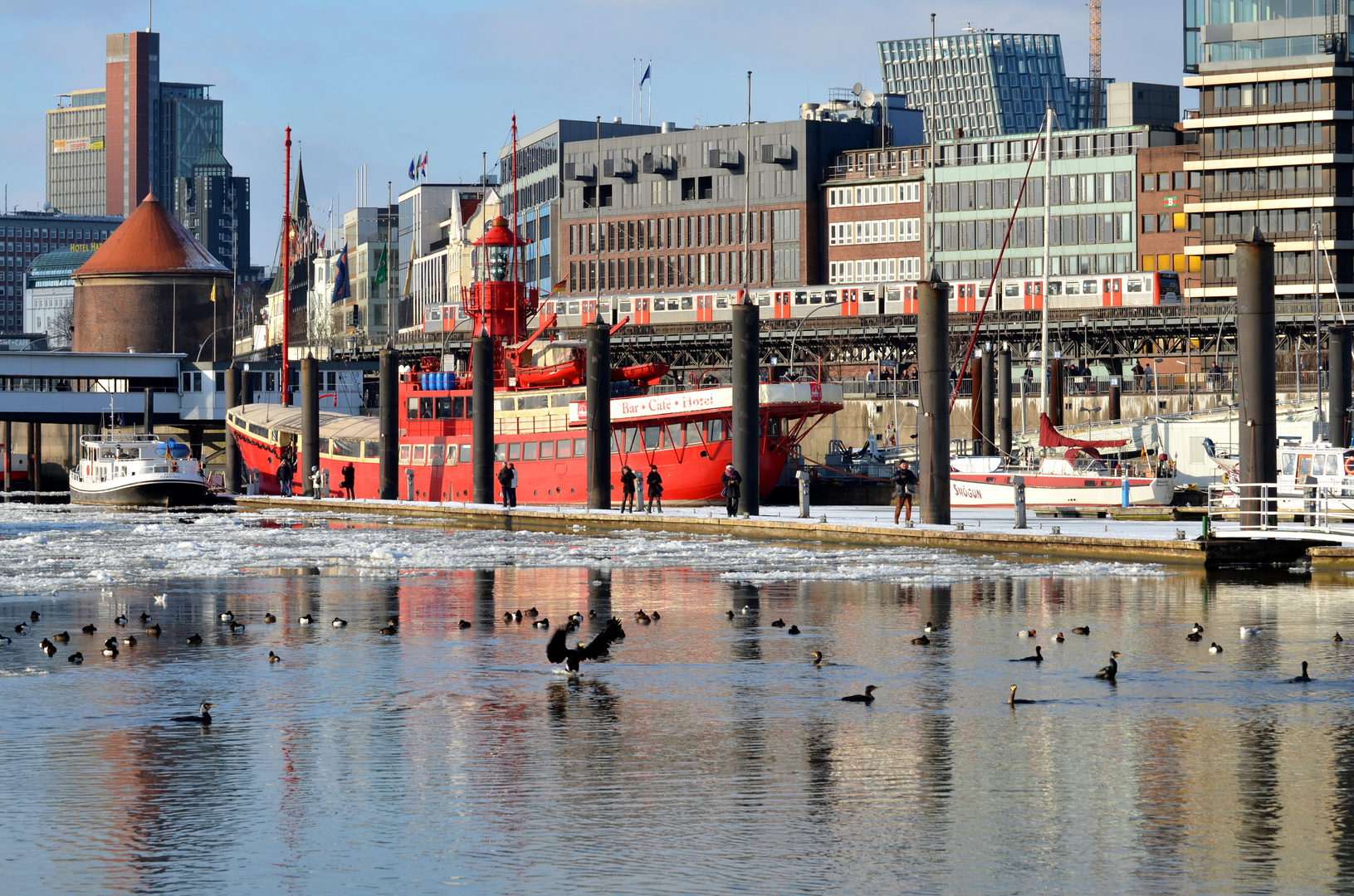 Allerlei Federvieh im winterlichen Hamburger Hafen