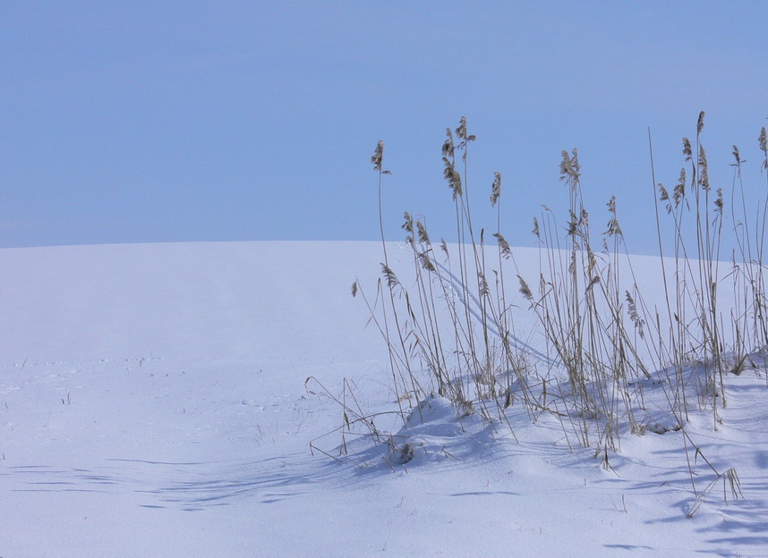 Allerletzter Schnee ??