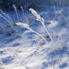 Allerletzter Schnee, hoffentlich!