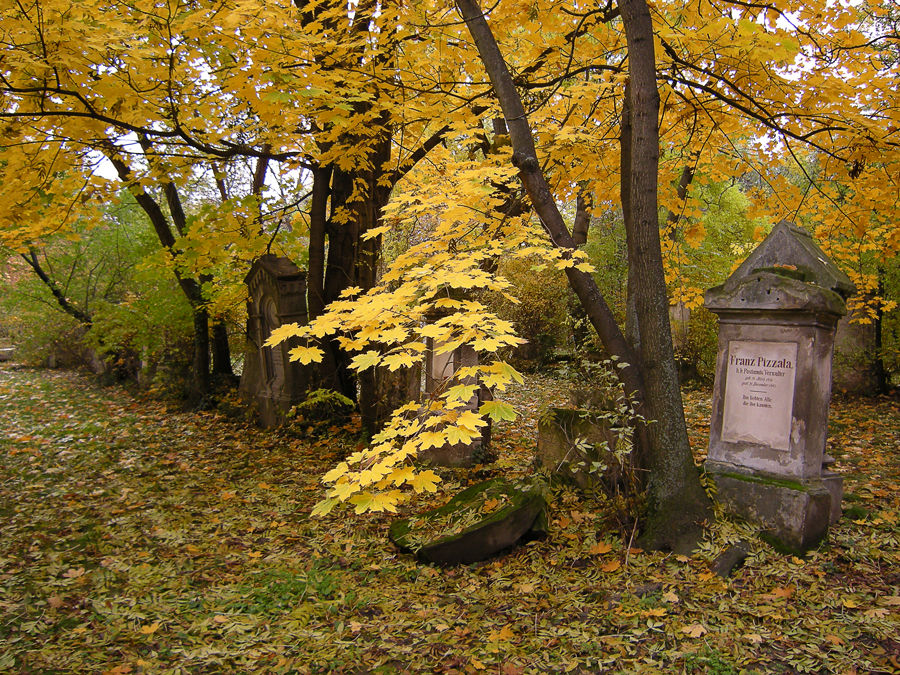 Allerseelen in Wien