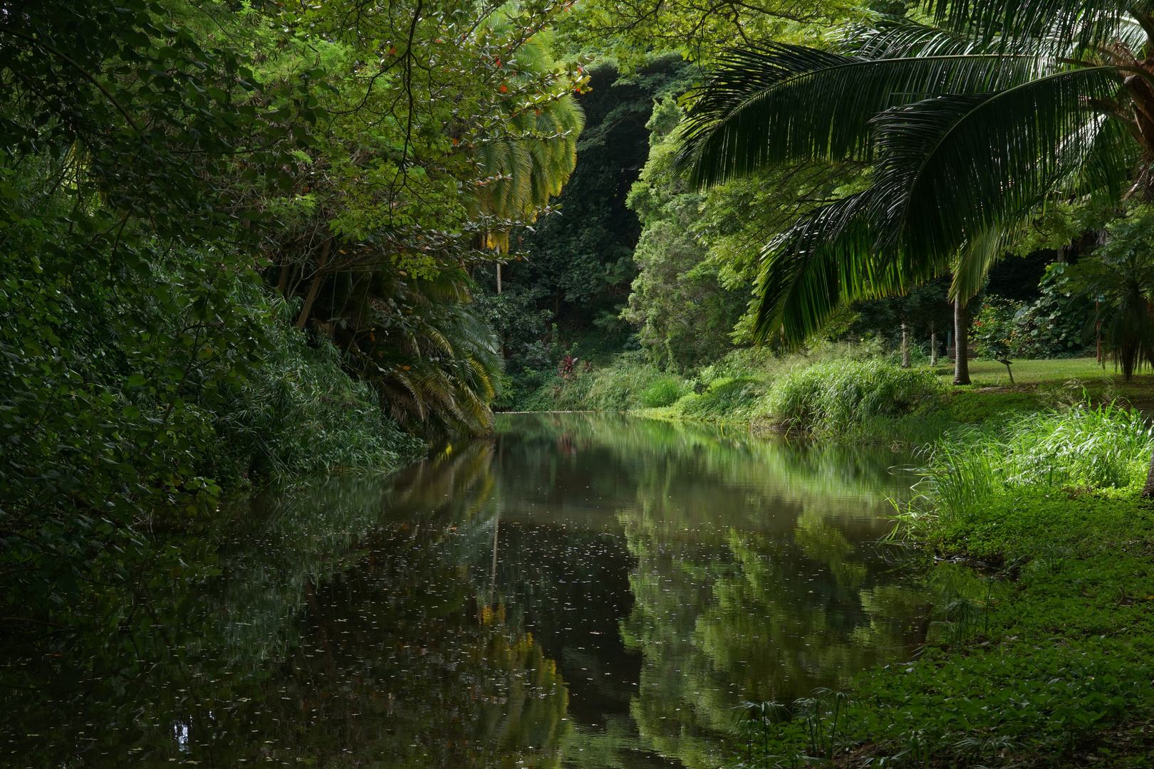 Allerton Garden Poipu