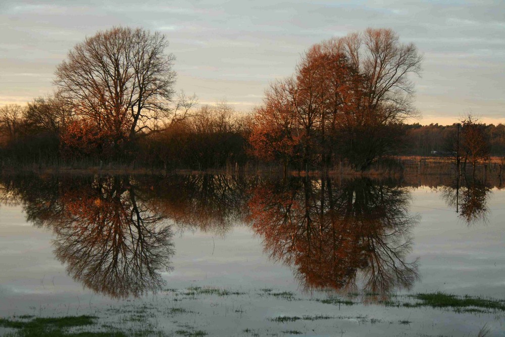 Allerwasser