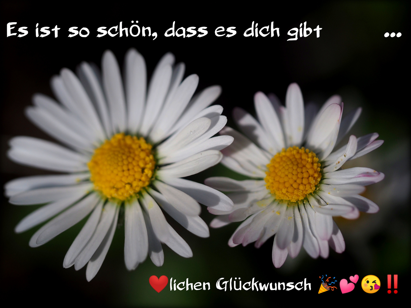 Alles, alles Gute zum Geburtstag :),