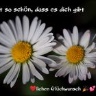 Alles, alles Gute zum Geburtstag :),