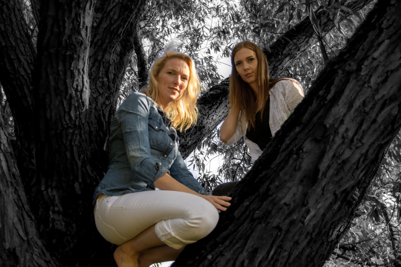 alles andere als nur Schwarz/Weiss Foto & Bild erwachsene menschen