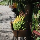 Alles Banane auf Gomera!