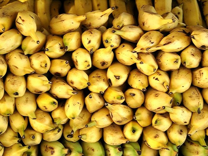 Alles Banane!