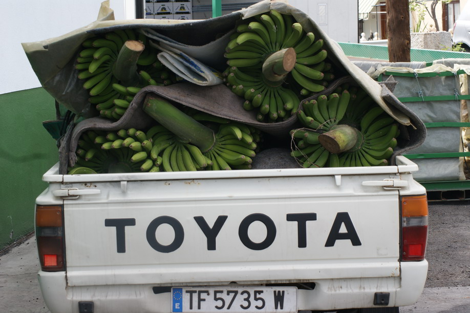 Alles Banane - La Palma - Kanaren