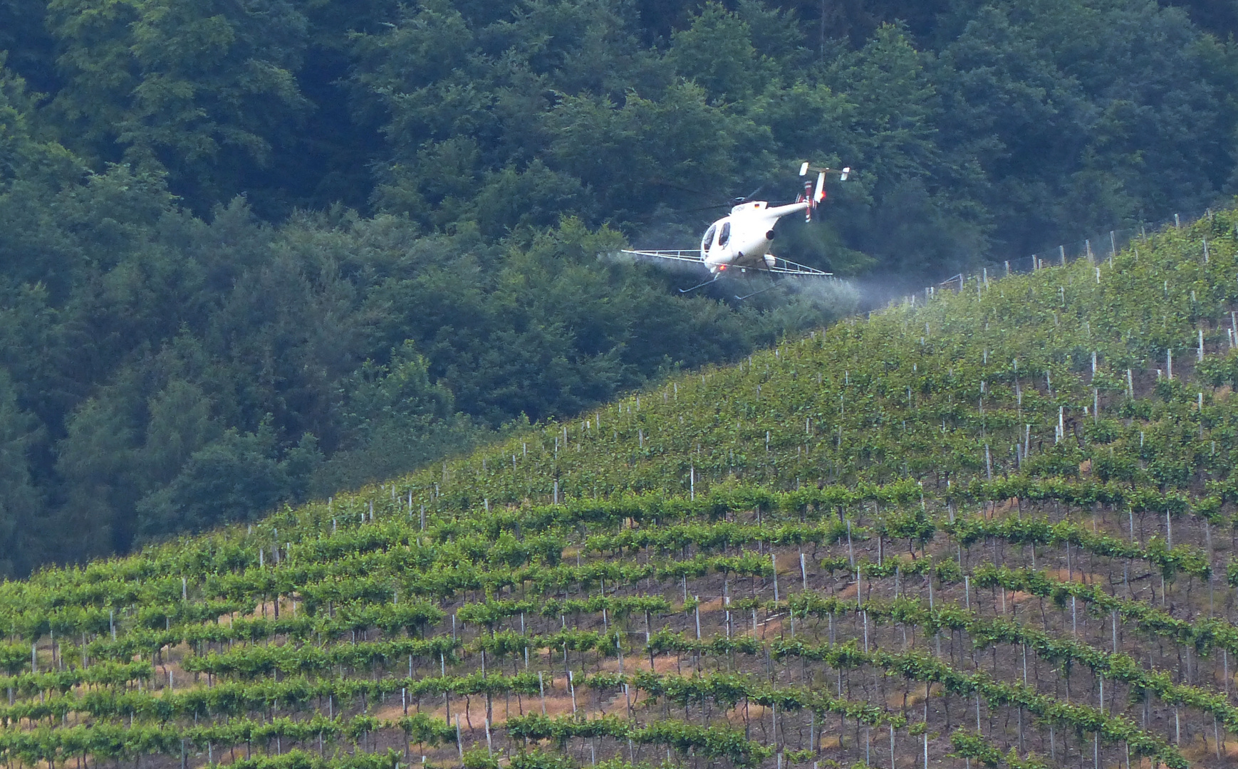 Alles Bio? Weinbesprühung an der Ahr