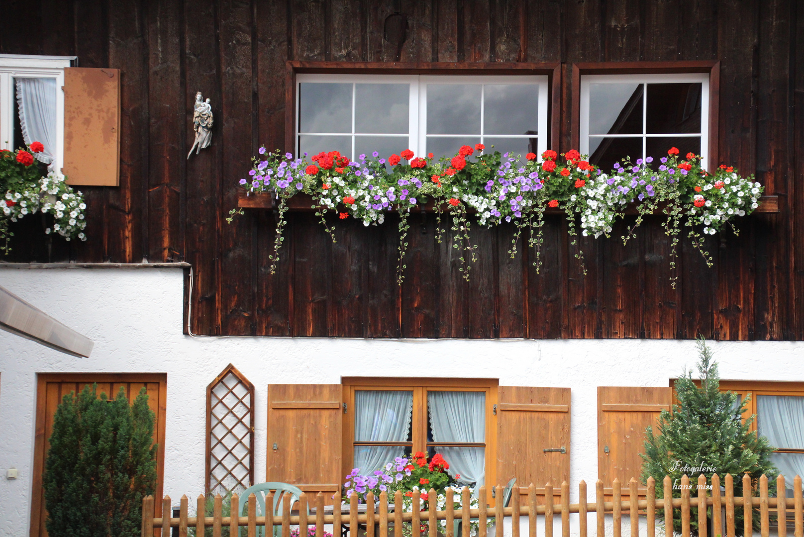 alles Blüht in Oberstdorf