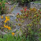 Alles botanische Raritäten für den Alpengarten im Flachland