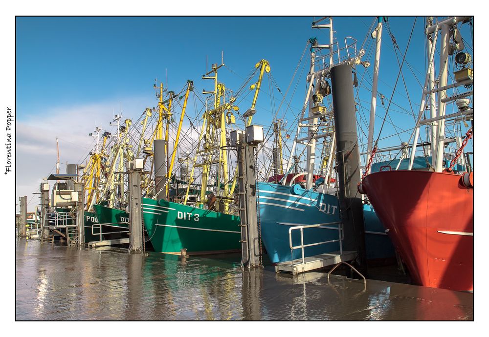 alles der Reihe nach..ROT, BLAU,GRÜN.. (Ditzum, Leer-Ostfriesland)