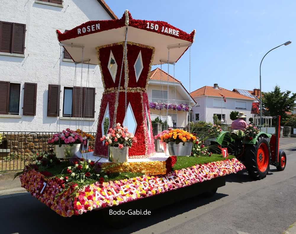 Alles dreht sich um die Rose