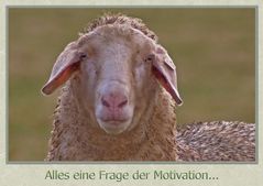 Alles eine Frage der Motivation...