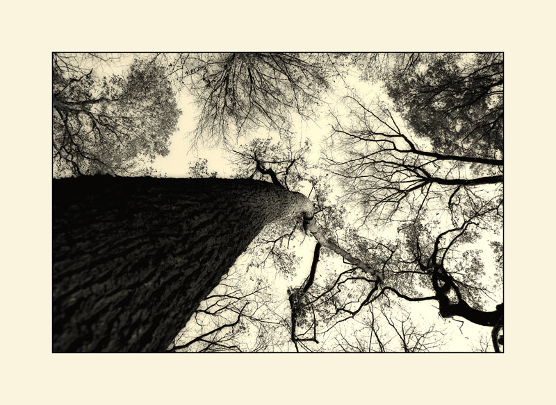 alles eine Frage der Perspektive Foto & Bild | fotokunst, monochrome fine art, spezial Bilder ...