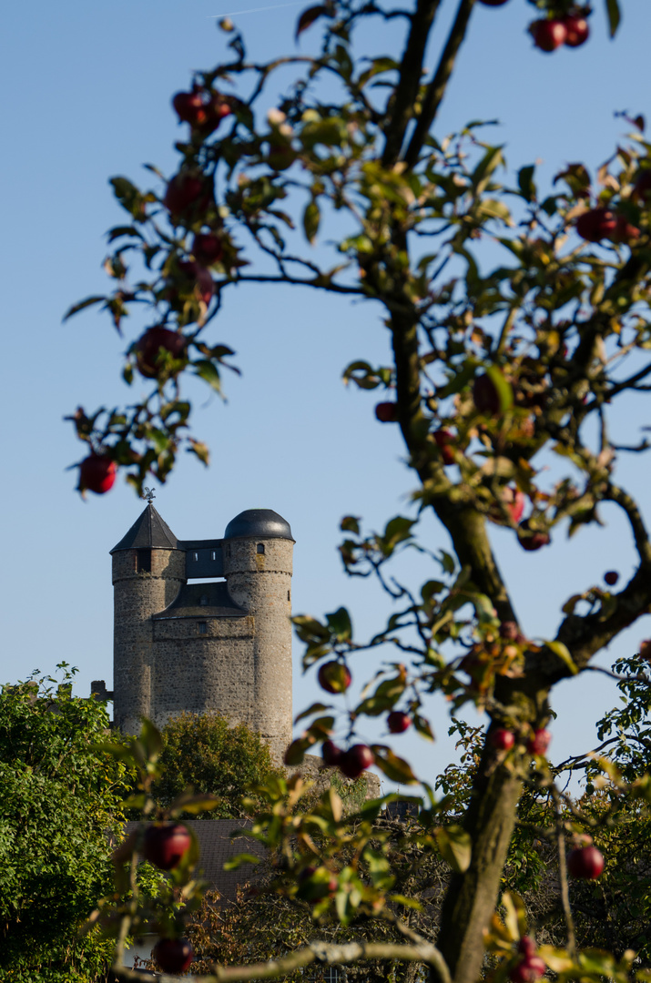 alles eine Frage der Sichtweise - Burg Greifenstein