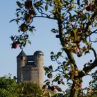 alles eine Frage der Sichtweise - Burg Greifenstein