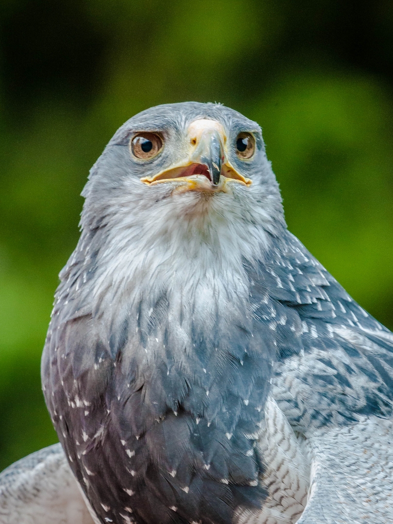 Alles fest im Blick