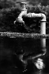 Alles fließt - nur der Wasserhahn tropft ...