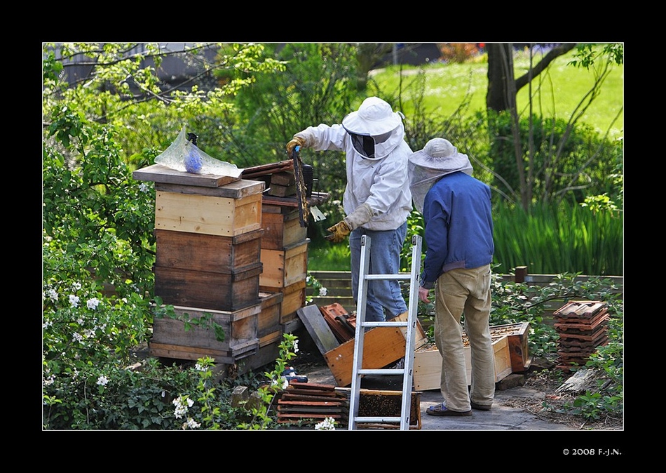 Alles für die Bienen, und für eine gute Honigausbeute.