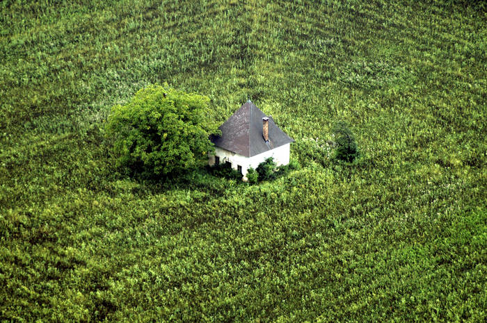 Alles Grün