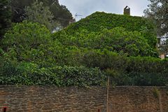 Alles Grün! - Provencalischer Garten in Bormes (F)