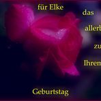 Alles Gute..