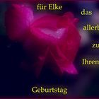 Alles Gute..