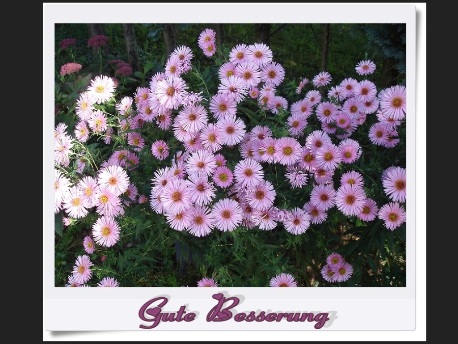 Alles Gute Foto & Bild | spezial, sonstiges, karten und kalender Bilder